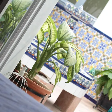 فندق Moon Dreams Mediterraneo توريمولينوس