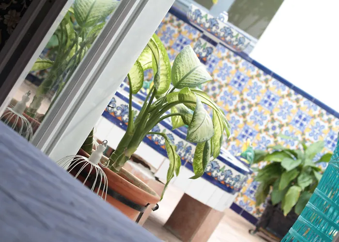 Bluesea Solaris Ex Md Mediterraneo